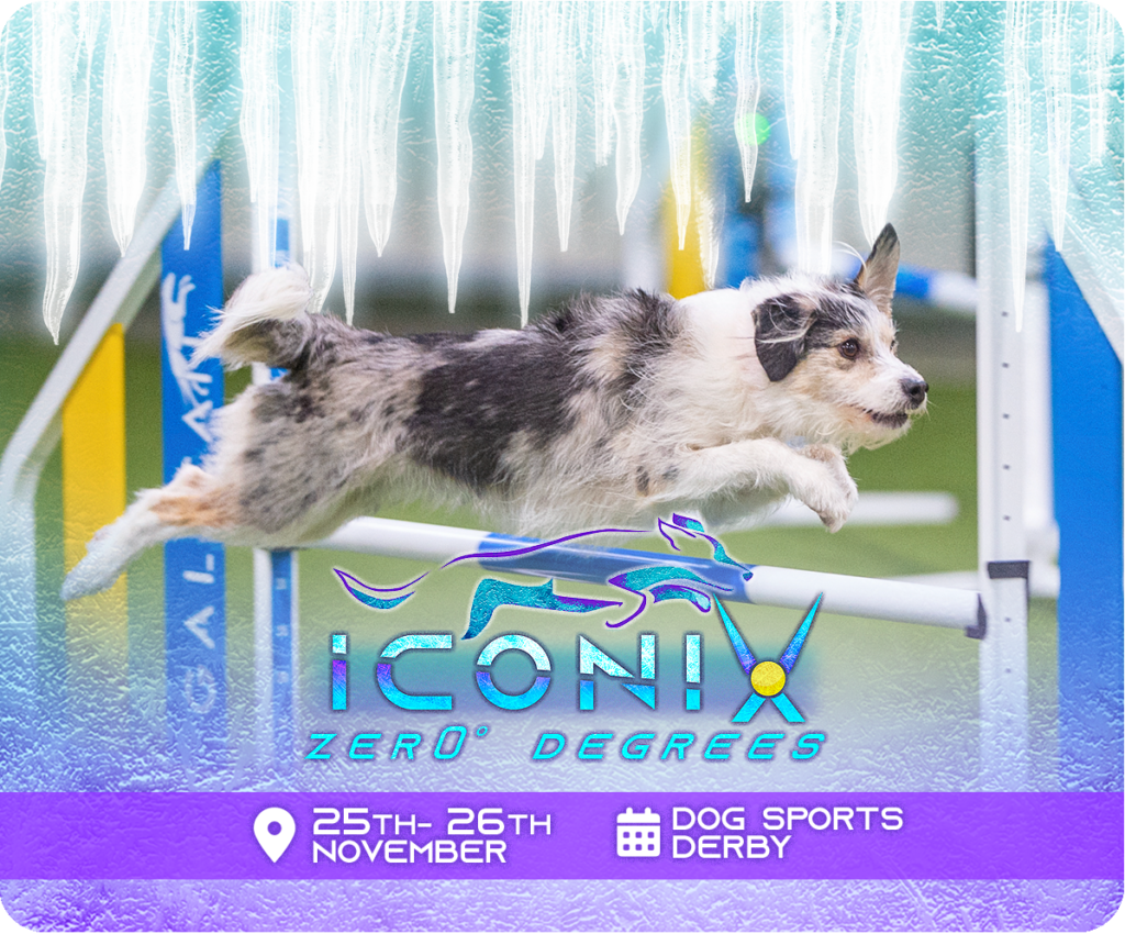 Compete Iconix Agility Series